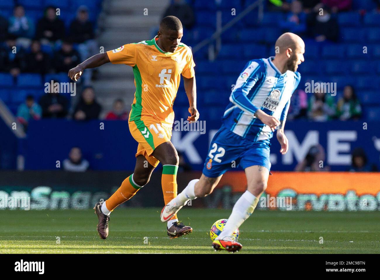William Carvalho of Real Betis Balompie during the Liga match between RCD Espanyol and Real Betis at RCDE Stadium in Cornella, Spain. Stock Photo