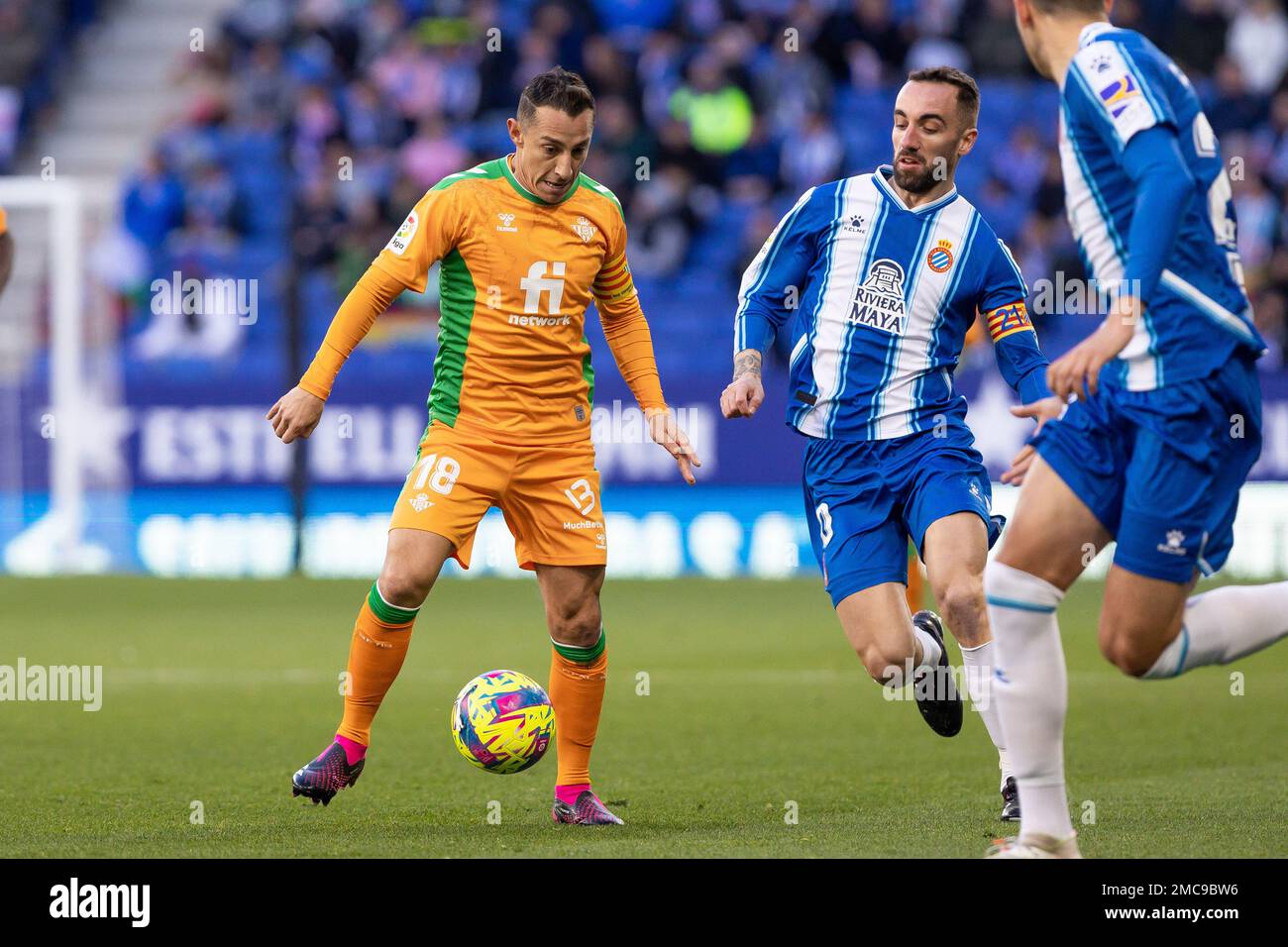 Andres Guardado of Real Betis Balompie during the Liga match between RCD Espanyol and Real Betis at RCDE Stadium in Cornella, Spain. Stock Photo