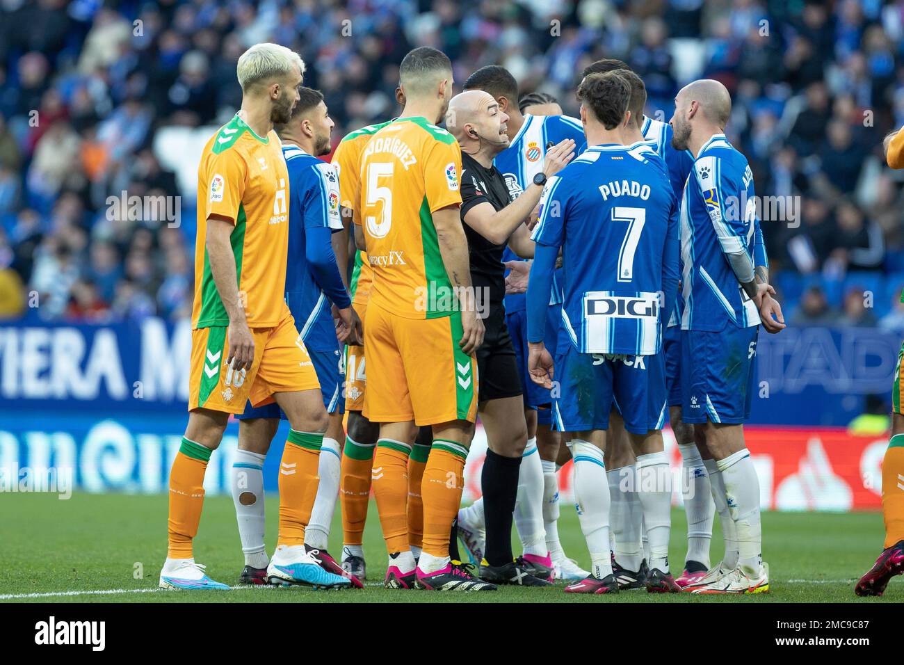 Referee during the Liga match between RCD Espanyol and Real Betis at RCDE Stadium in Cornella, Spain. Stock Photo