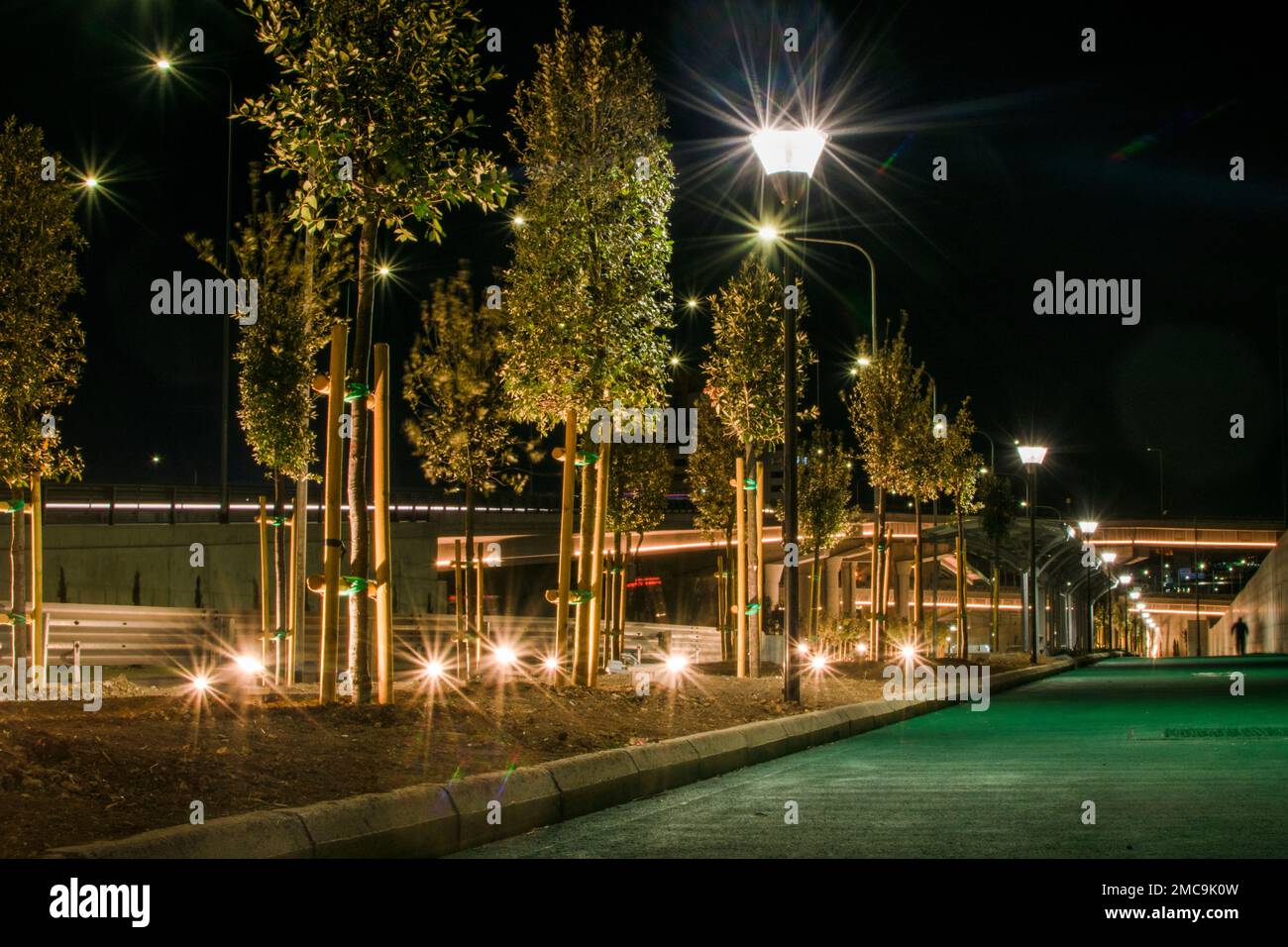 Alley trees along asphalt road hi-res stock photography and images - Alamy