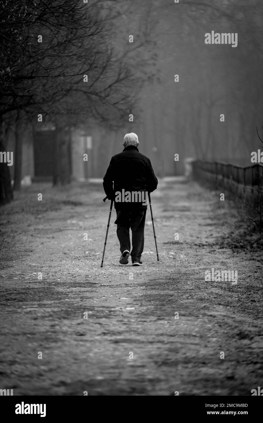 An older man, walking with two canes down the path in the park, during the winter day, in grayscale, the concept of aging and solitude Stock Photo