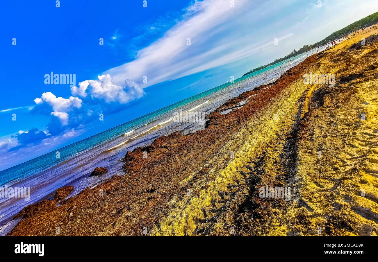 The beautiful Caribbean beach totally filthy and dirty the nasty ...