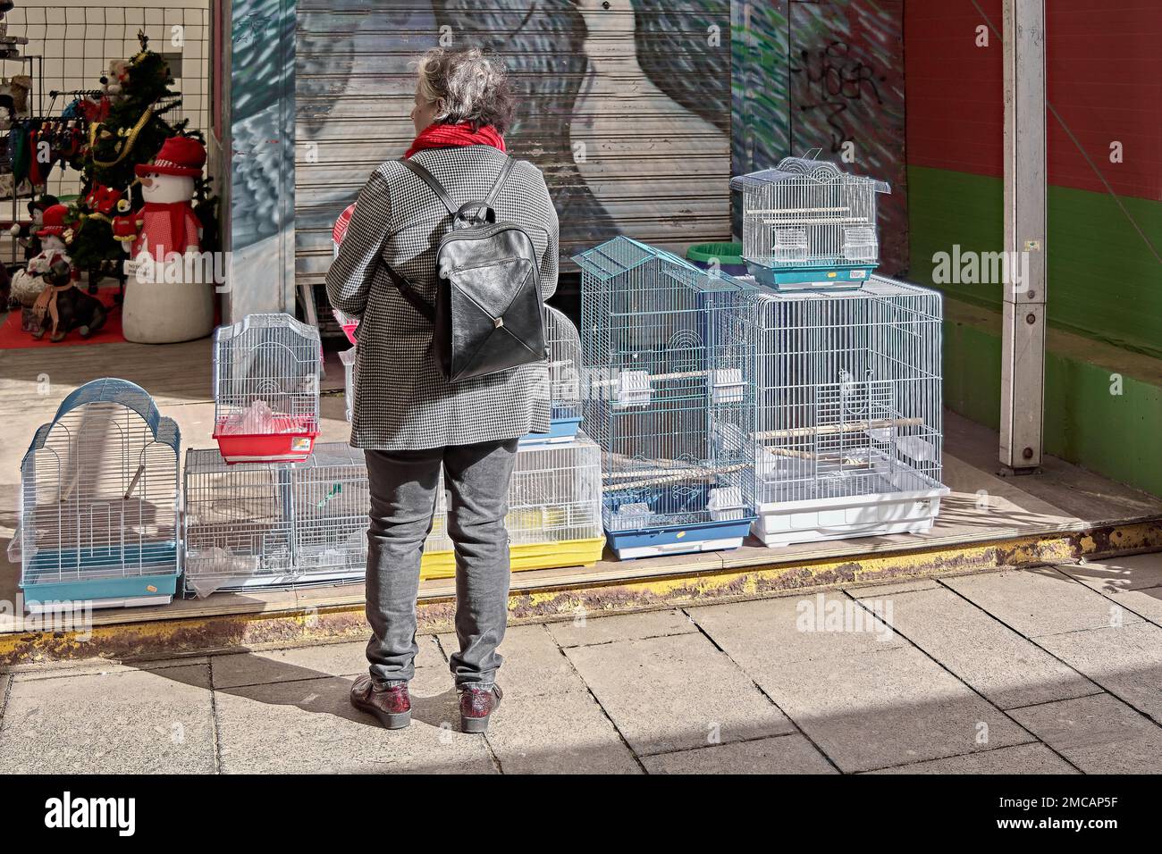 Woman next to bird cages of different colors in the concept of Spain's new animal law. Stock Photo