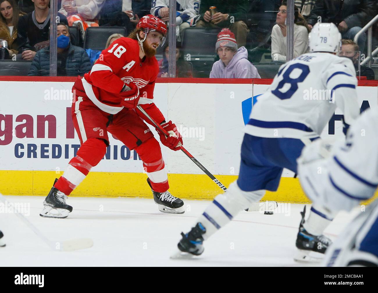 Toronto Maple Leafs defenseman TJ Brodie (78) tries to steal the puck from  Detroit Red Wings right wing Filip Zadina (11) during the third period of  an NHL hockey game Saturday, Jan.