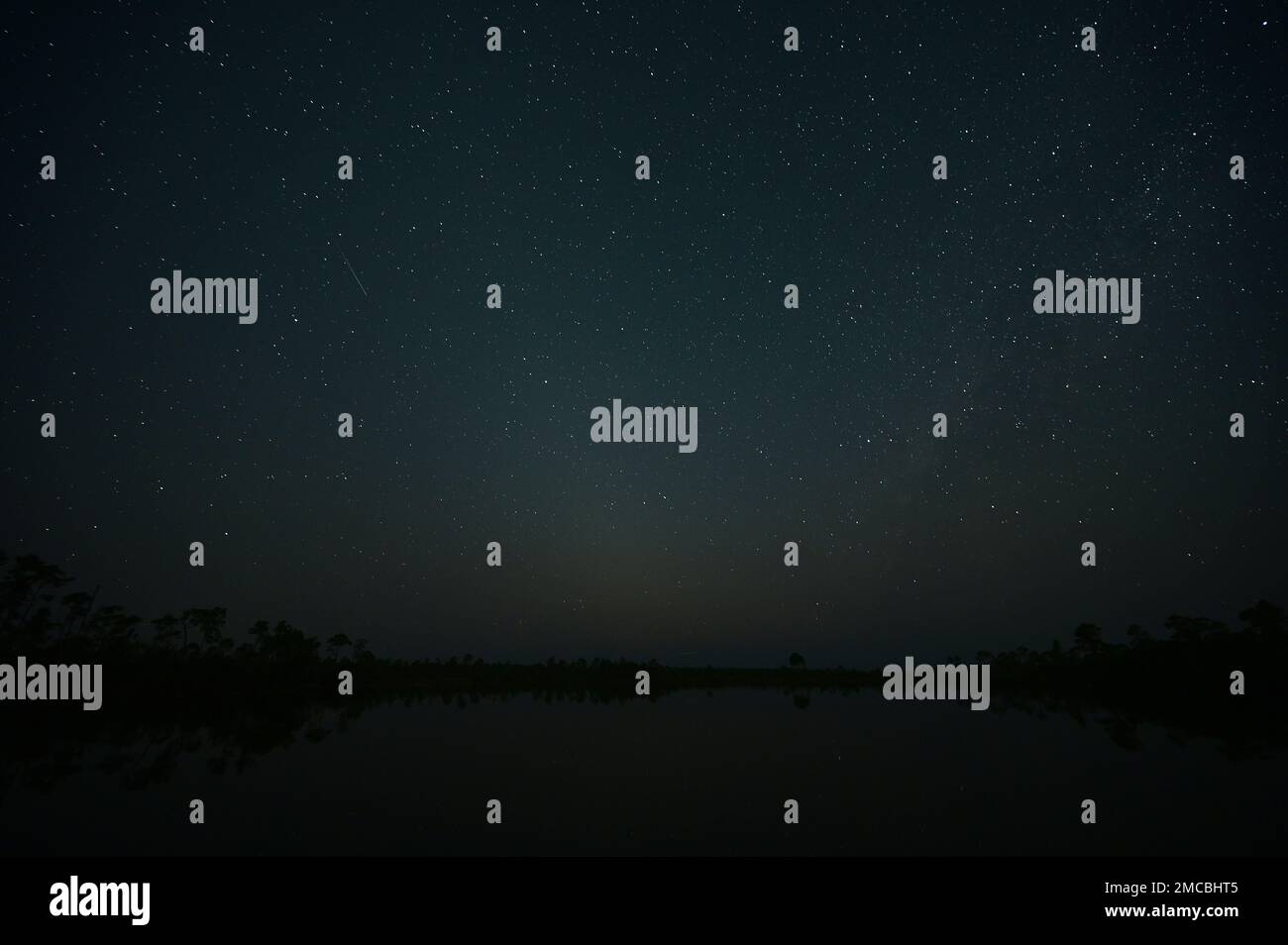 Geminid meteor and field of stars above Pine Glades Lake in Everglades National Park, Florida on clear December night.. Stock Photo