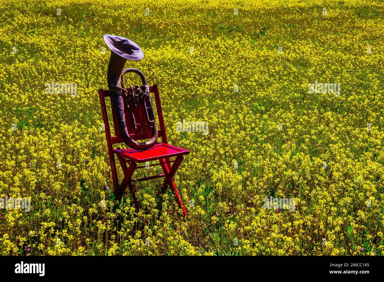 Red Chair With Old Tuba Stock Photo