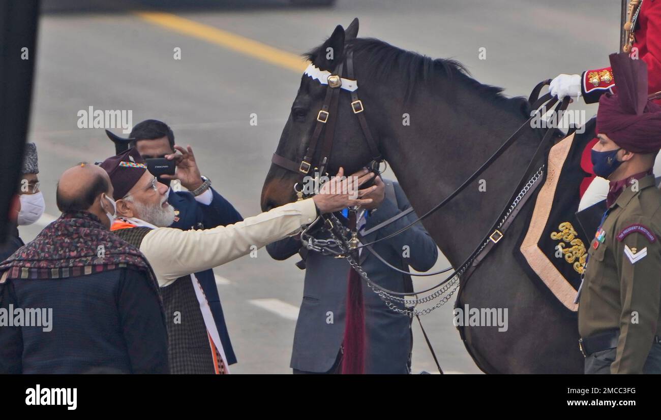 Indian Prime Minister Narendra Modi pats one of the oldest horse of ...