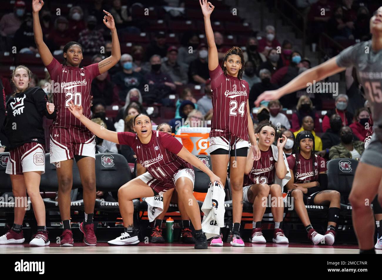 South Carolina head coach Dawn Staley talks with the media after an NCAA  college basketball game, Sunday, Jan. 29, 2023, in Tuscaloosa, Ala. (AP  Photo/Vasha Hunt Stock Photo - Alamy