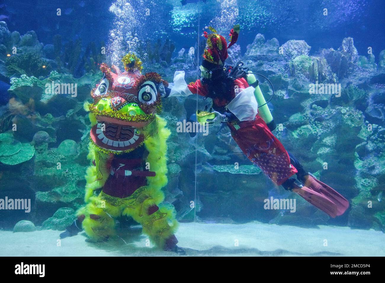 Divers dressed in Fortune God costume and Chinese lion dancer perform