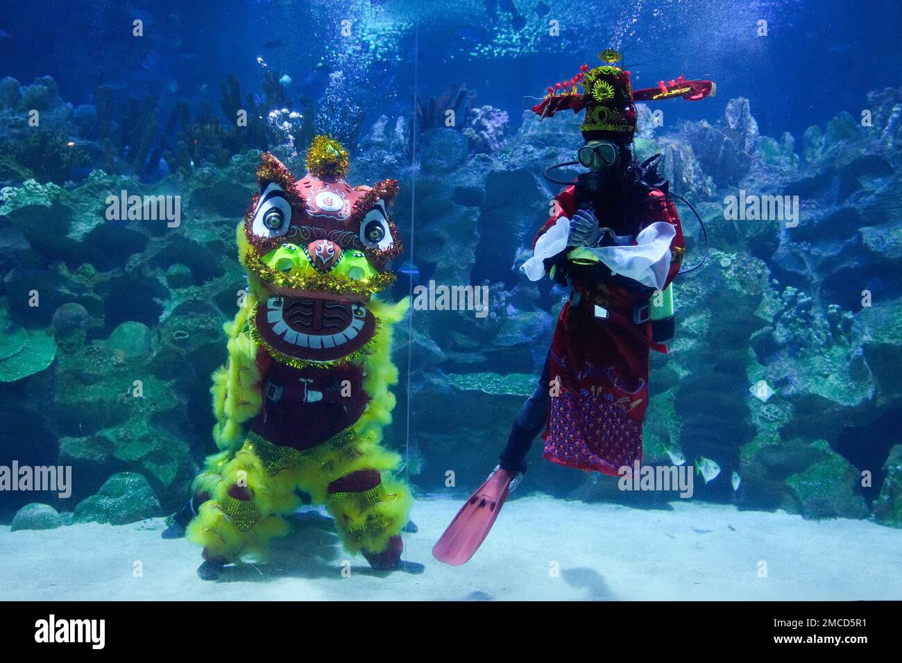 Divers dressed in Fortune God costume and Chinese lion dancer perform