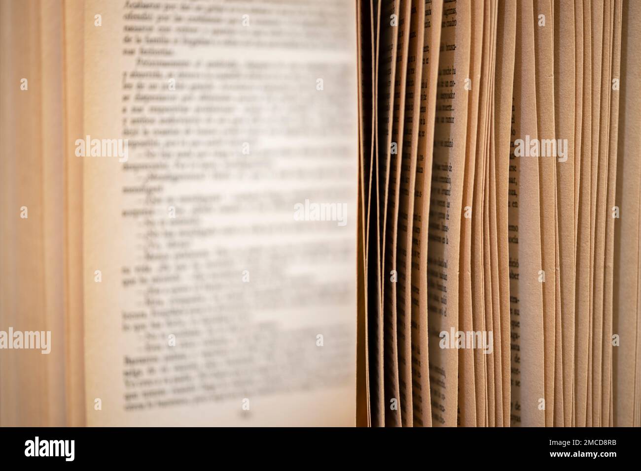 Detalle de un libro abierto con la escritura de las páginas desenfocada Stock Photo