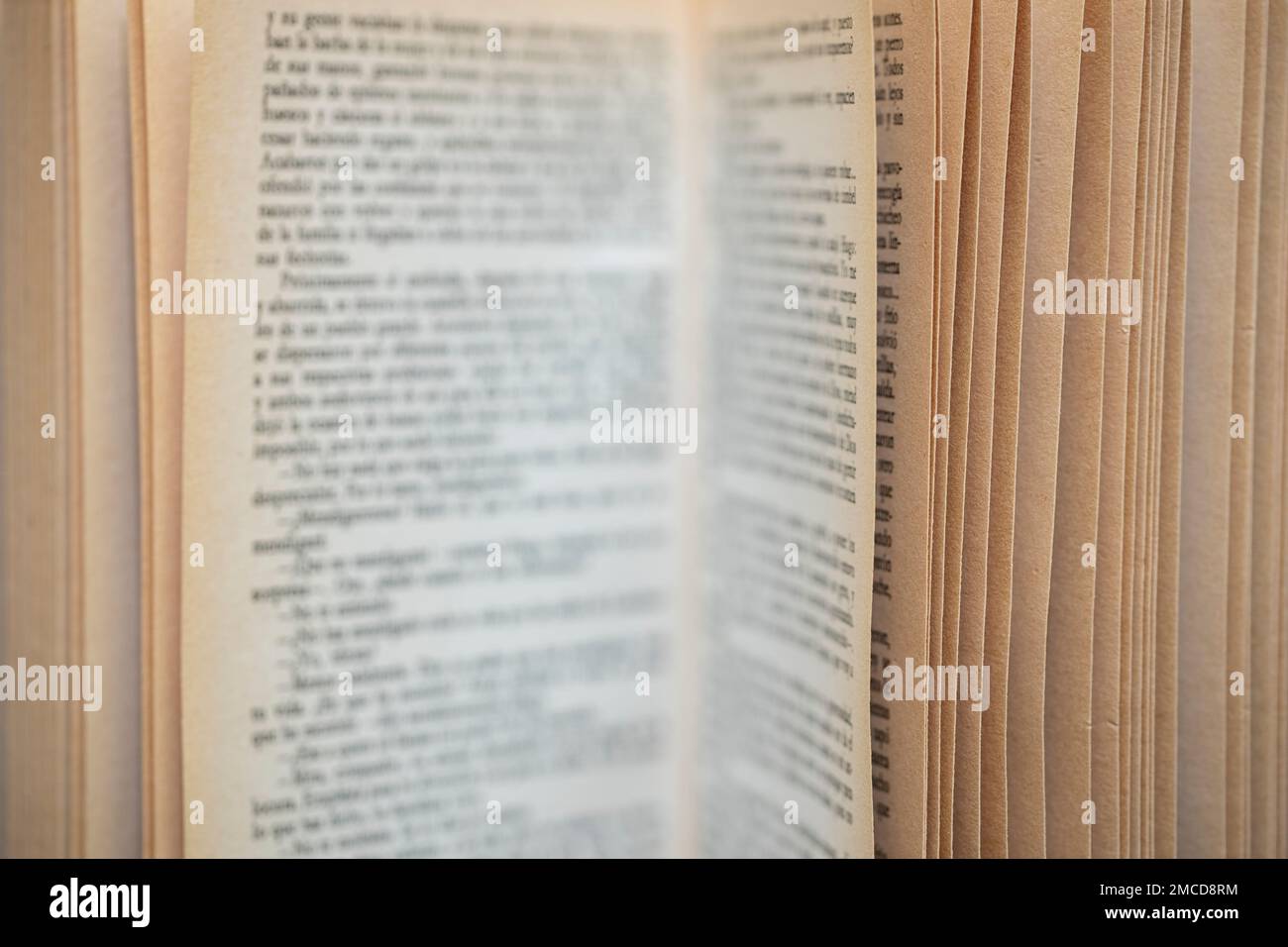 Detalle de un libro abierto con la escritura de las páginas desenfocada Stock Photo