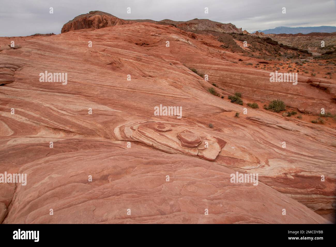 Fire Wave is a popular geological formation in Valley of Fire State ...