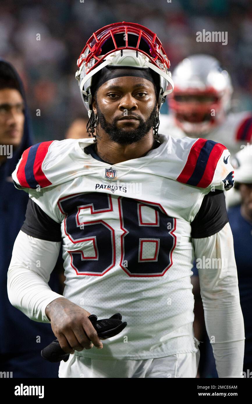 Jamie collins on sale patriots jersey