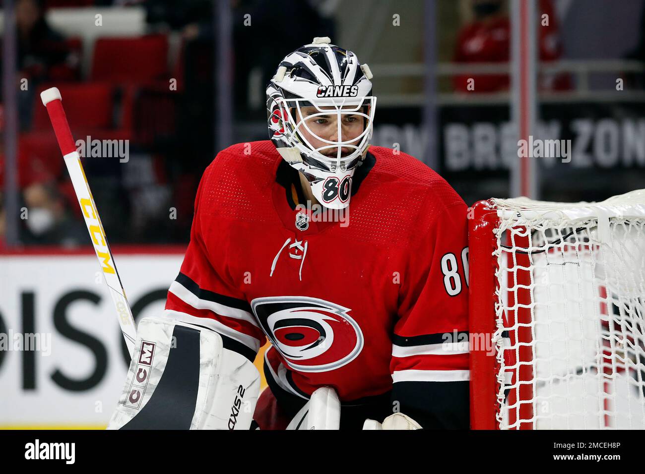 Carolina Hurricanes goaltender Jack LaFontaine (80) watches play against the Columbus Blue