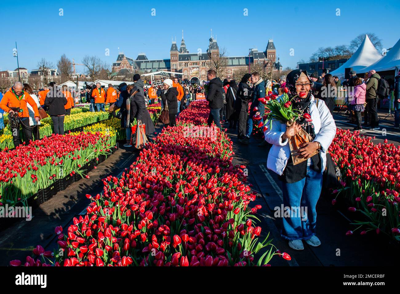 A woman seen posing with her tulips. Each year on the 3rd Saturday of January, the National Tulip Day is celebrated in Amsterdam. Dutch tulip growers built a huge picking garden with more than 200,000 colorful tulips at the Museumplein in Amsterdam. Visitors are allowed to pick tulips for free. The event was opened by Olympic skating champion, Irene Schouten. Prior to the opening, she christened a new tulip: Tulipa 'Dutch Pearl' as a reference to the world - famous painting 'The girl with a pearl earring' by Johannes Vermeer. Stock Photo