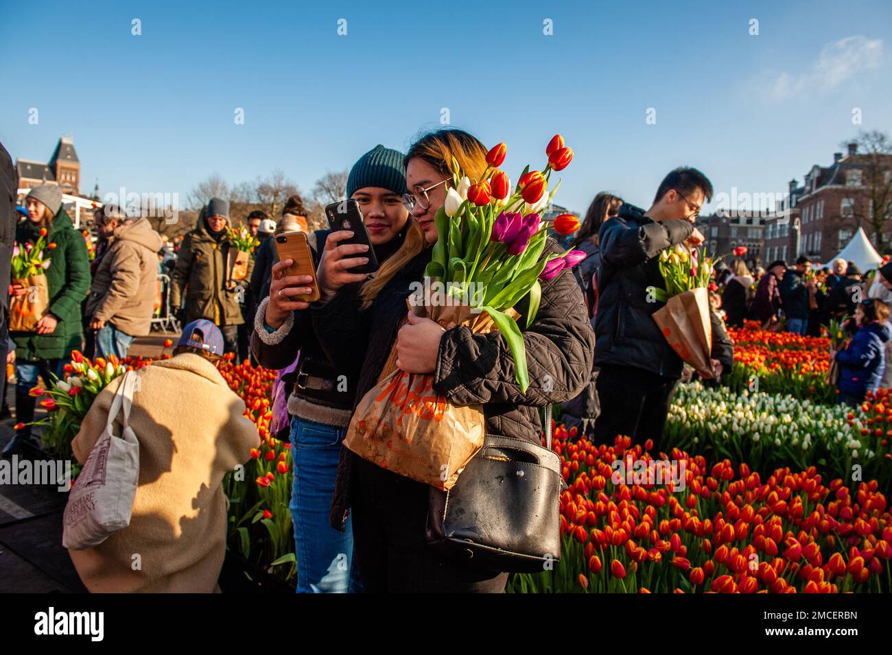 Two women are seen taking a selfie with their tulips. Each year on the 3rd Saturday of January, the National Tulip Day is celebrated in Amsterdam. Dutch tulip growers built a huge picking garden with more than 200,000 colorful tulips at the Museumplein in Amsterdam. Visitors are allowed to pick tulips for free. The event was opened by Olympic skating champion, Irene Schouten. Prior to the opening, she christened a new tulip: Tulipa 'Dutch Pearl' as a reference to the world - famous painting 'The girl with a pearl earring' by Johannes Vermeer. Stock Photo