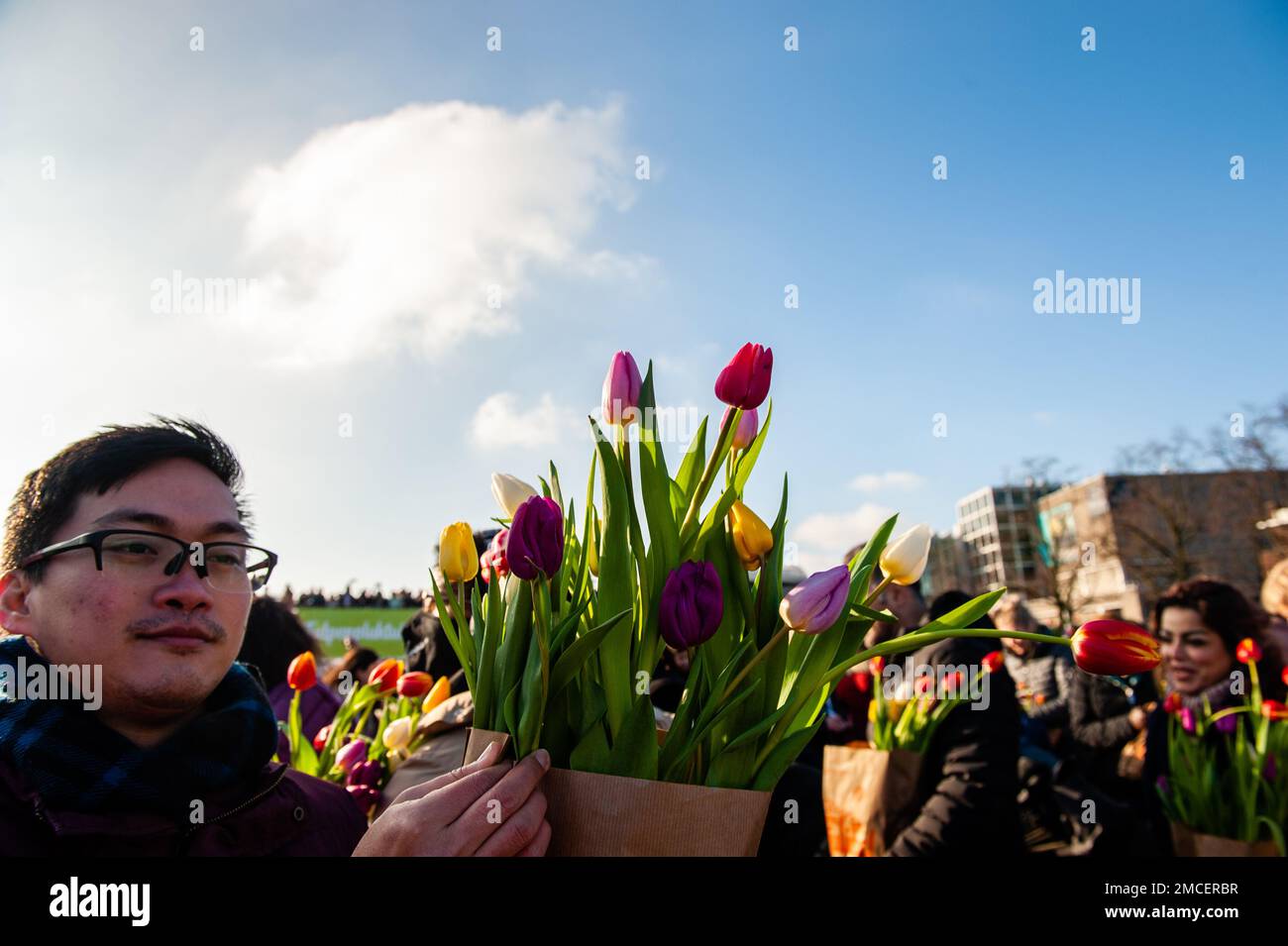A man seen walking with a bag full of tulips. Each year on the 3rd Saturday of January, the National Tulip Day is celebrated in Amsterdam. Dutch tulip growers built a huge picking garden with more than 200,000 colorful tulips at the Museumplein in Amsterdam. Visitors are allowed to pick tulips for free. The event was opened by Olympic skating champion, Irene Schouten. Prior to the opening, she christened a new tulip: Tulipa 'Dutch Pearl' as a reference to the world - famous painting 'The girl with a pearl earring' by Johannes Vermeer. Stock Photo