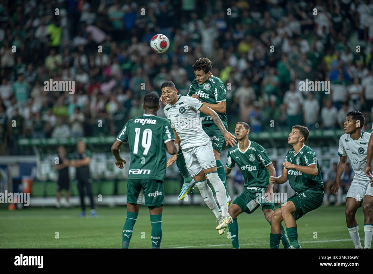 Allianz Parque, Palmeiras, Sociedade Esportiva Palmeiras, copa Do