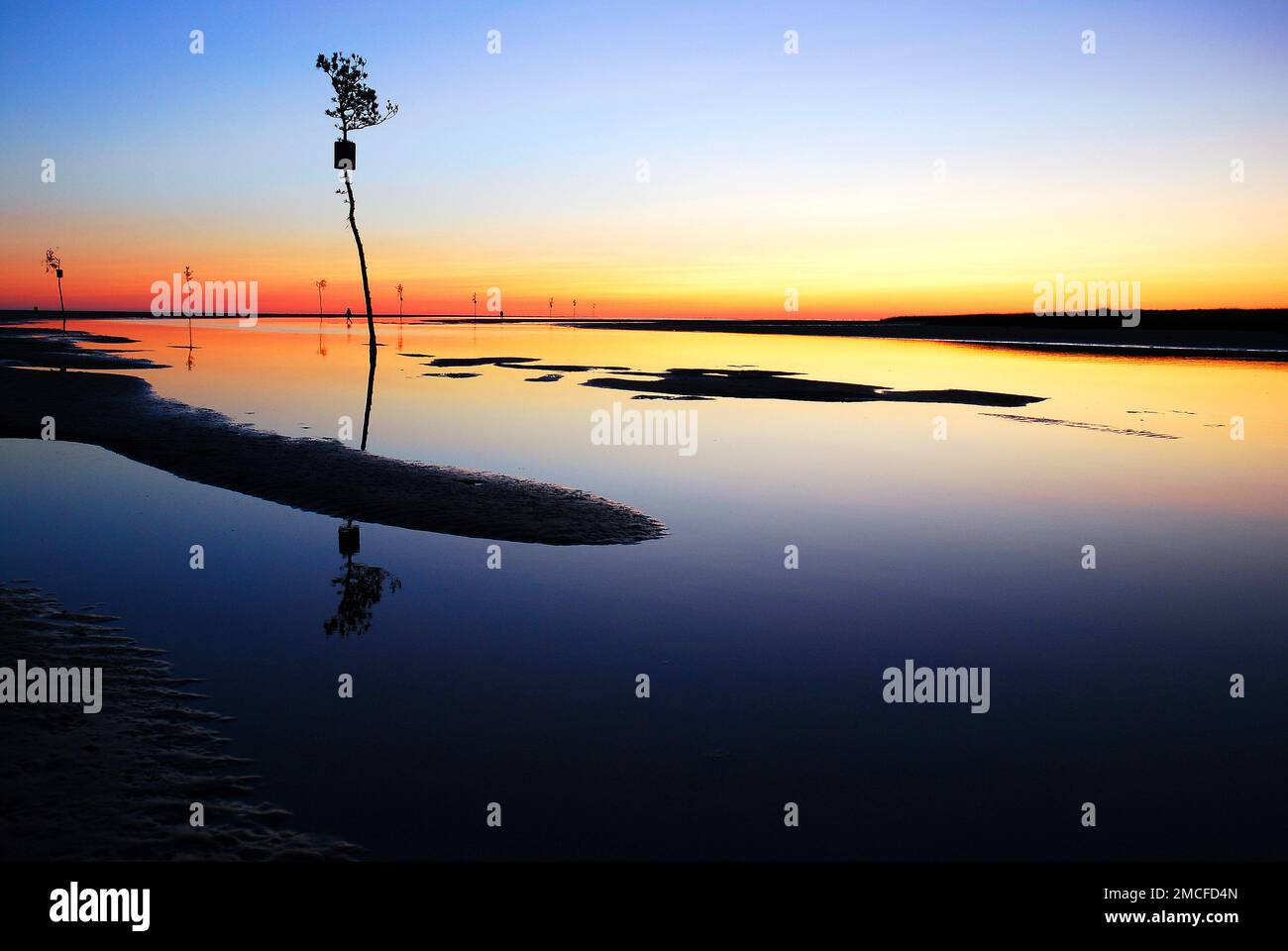 A boat channel, marked by trees placed in the water, reflects the