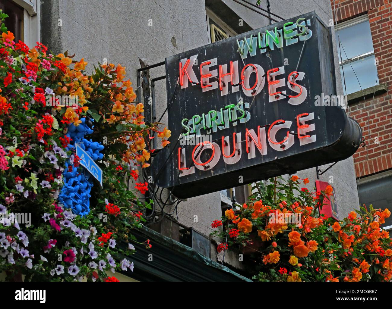 Kehoes Lounge pub sign in neon, wines & spirits , traditional Irish watering hole, 9 Anne St S, Dublin, Eire, D02 NY88, Ireland Stock Photo