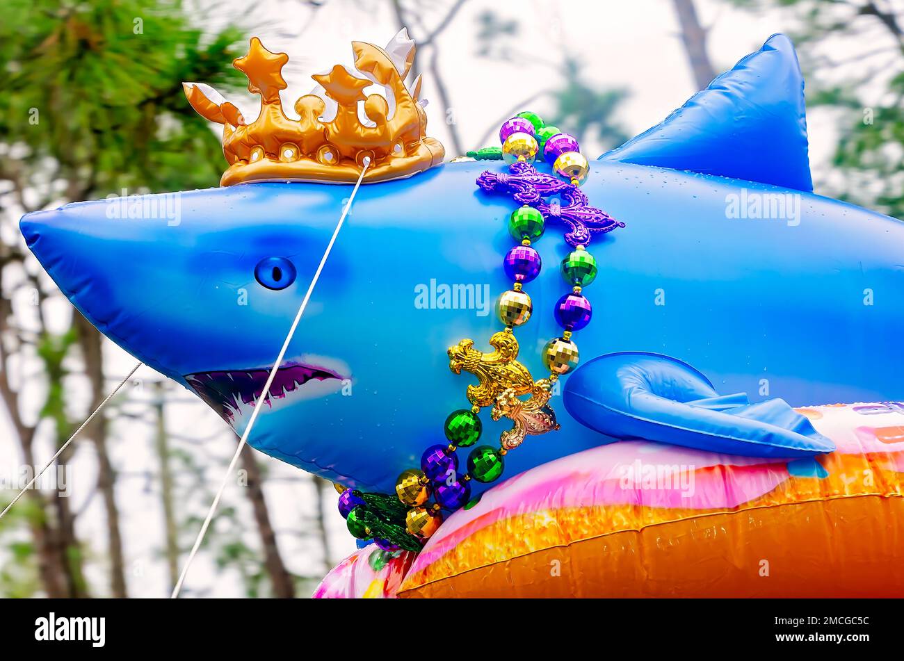 Shark pool float hi-res stock photography and images - Alamy