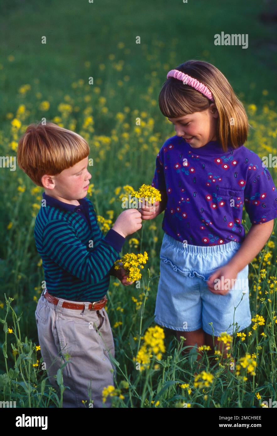 Little redheaded boy and girl standing in a field of wild flowers both examining the flowers Stock Photo