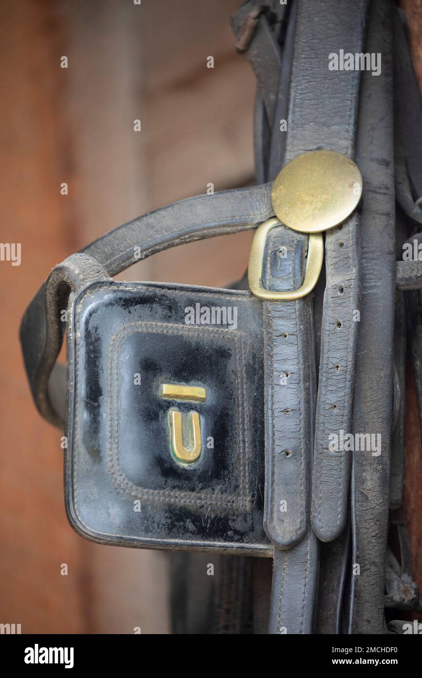 Horse bridle with Bar U brand on barn wall at Bar U Ranch National Historic Site in Longview, Alberta, Canada Stock Photo