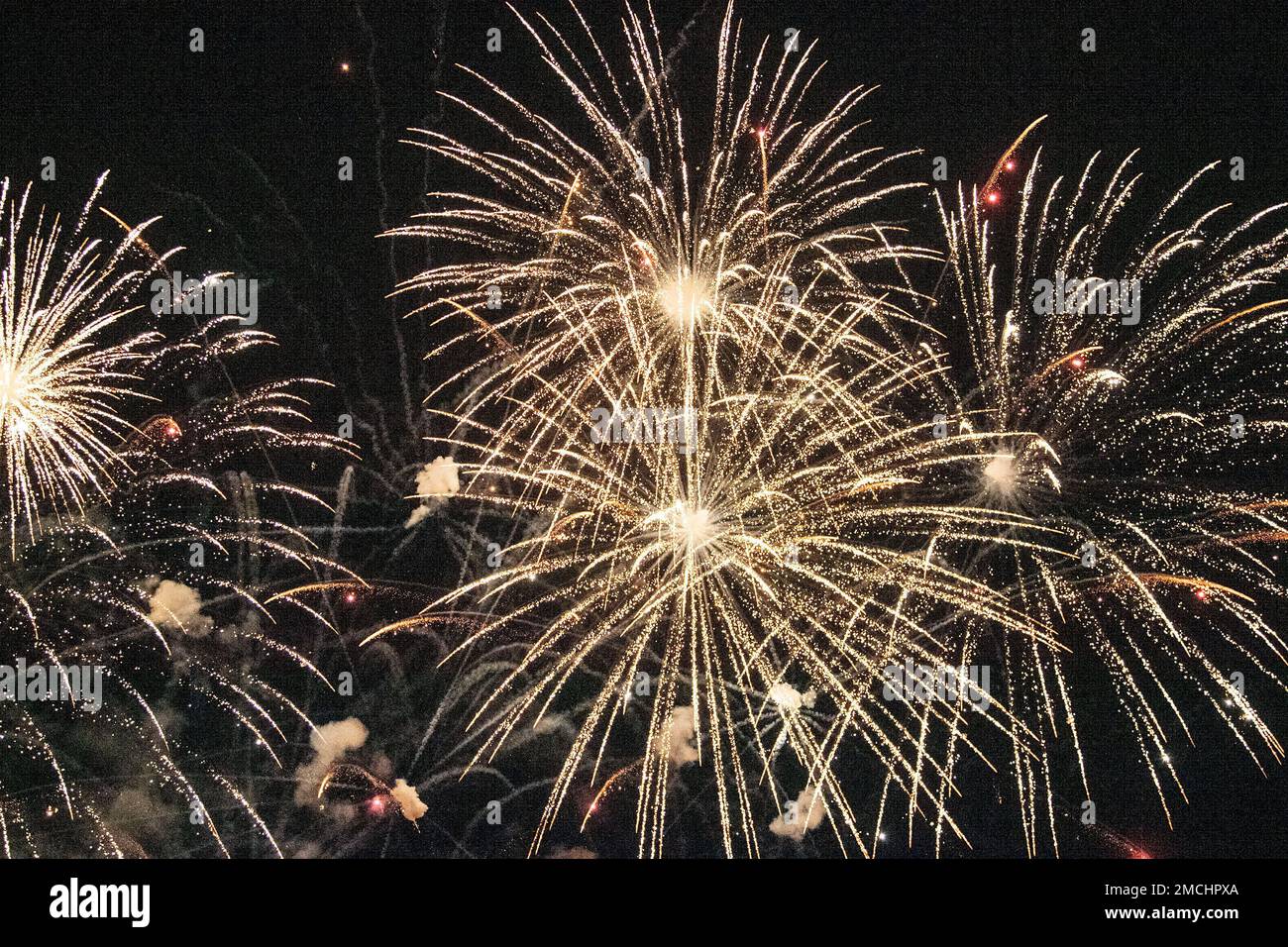 Fireworks explode over Hilton Field on Fort Jackson July 2in honor of