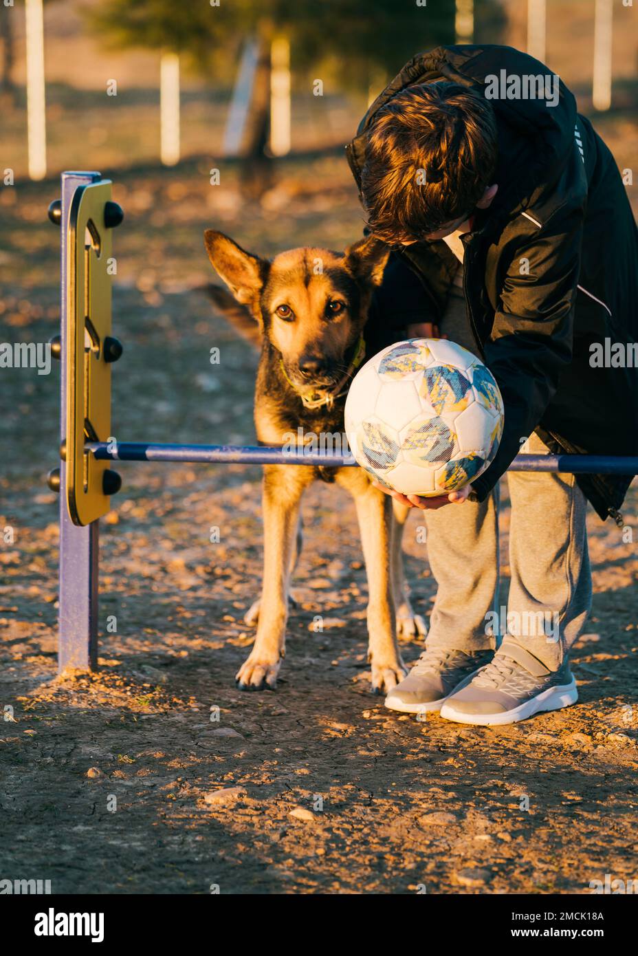 Concept child and dog. Cute boy plays and teaches the dog to jump over obstacles. Teamwork