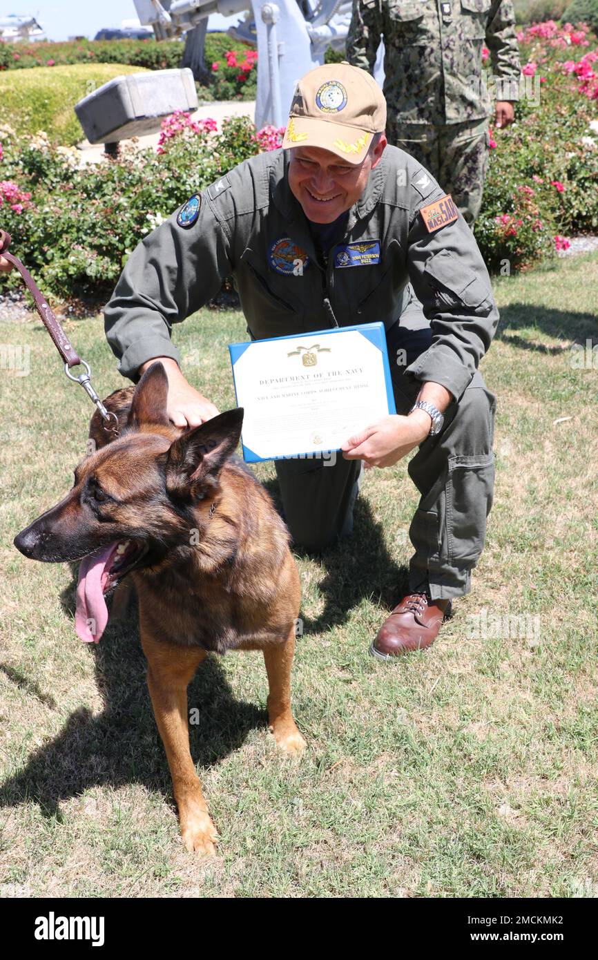 Recently retired Military Working Dog Rex was awarded the Navy and Marine Corps Achievement Medal today in a ceremony held on board NAS Lemoore.  The award was presented by NAS Lemoore Commanding Officer CAPT Douglas M. Peterson (pictured).  Rex was assigned to NAS Lemoore Security Detachment from November 2018 to January 2022, and during that time, he inspected more than 12,000 vehicles, 850 buildings, 676 warehouses and 125 hangars. He was also hand-selected to serve and protect in 15 U.S. Secret Service missions for the President and Vice President of the United States.  Bravo Zulu for a jo Stock Photo