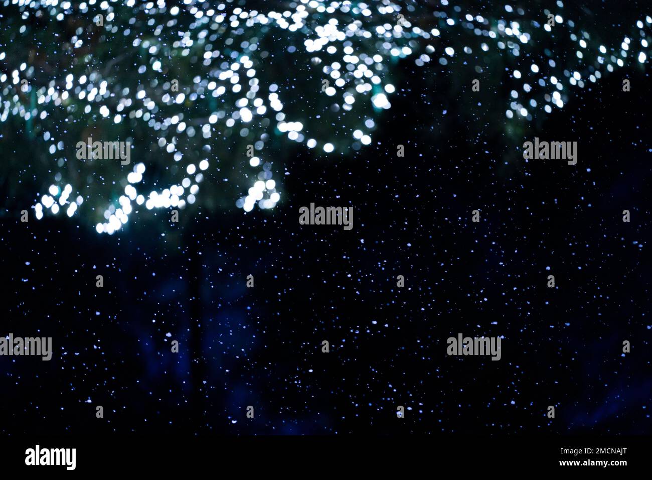 Fake snow falls as trees are decorated with Christmas lights at Holiday