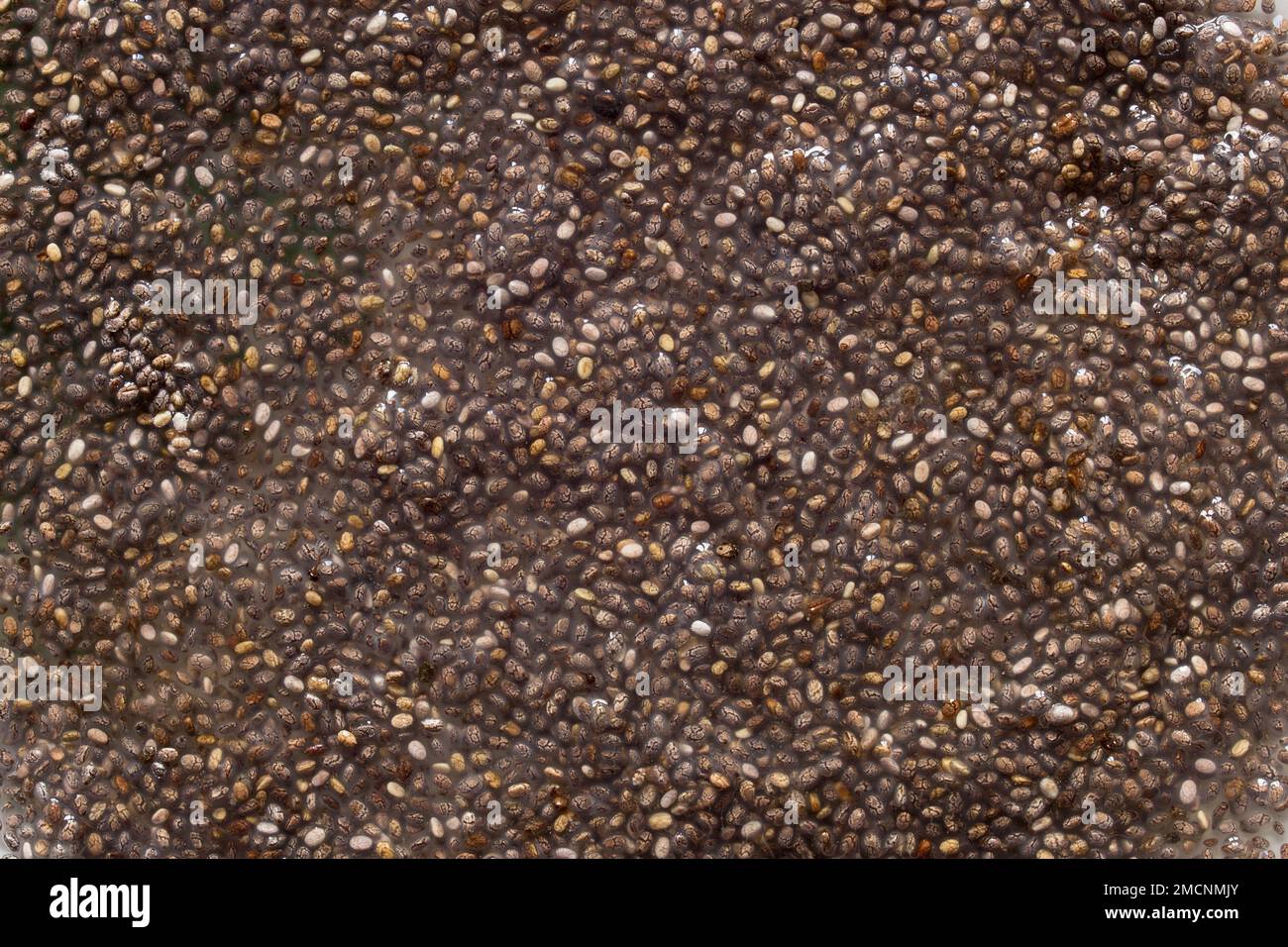 Raw chia seeds wet, and soaked in water create a gelatinous texture