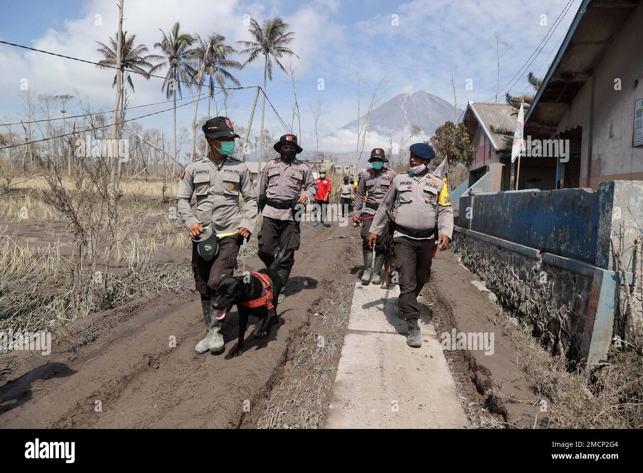Police Officers Lead A Sniffer Dog During A Search For Victims Of.