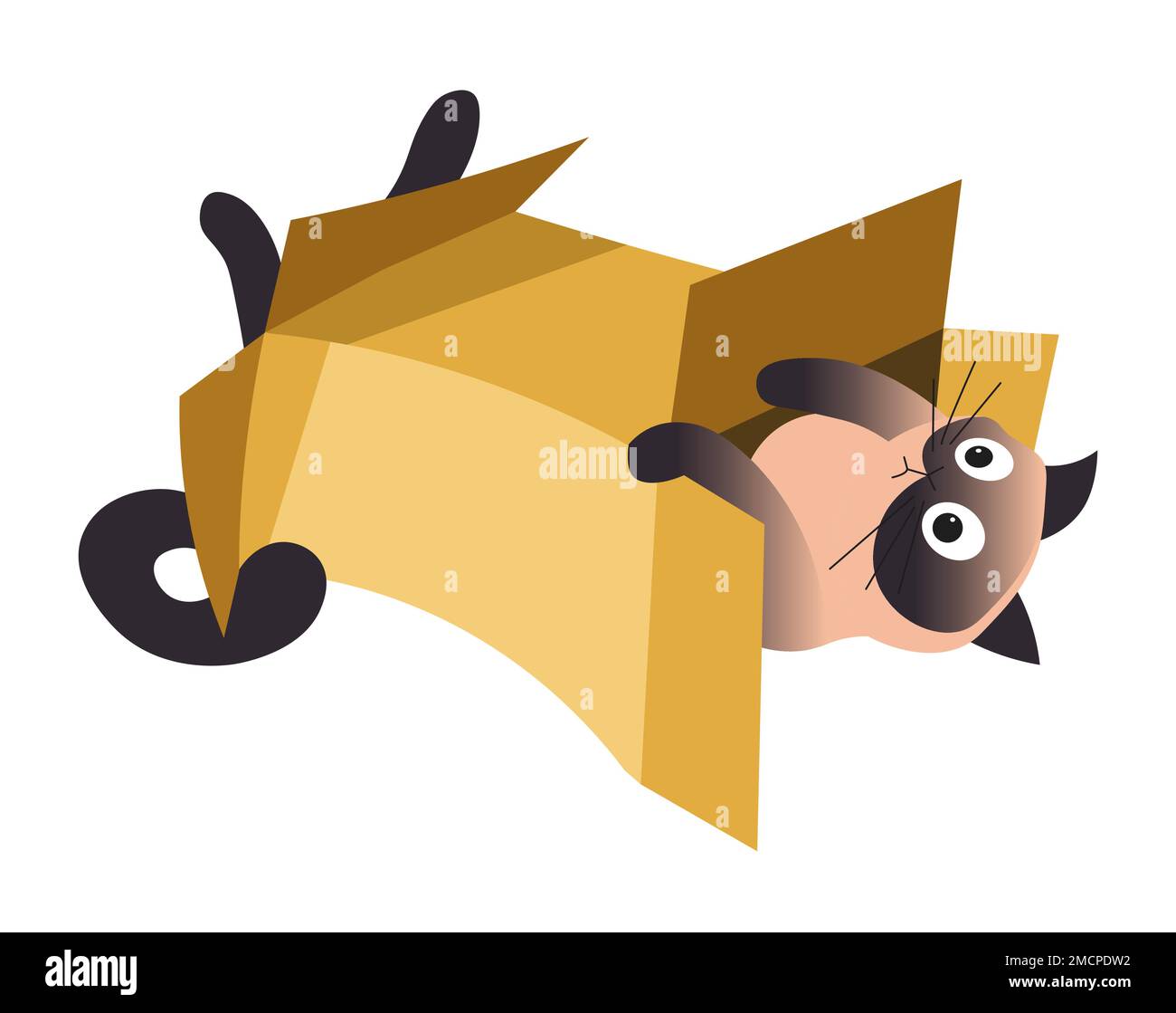 Pet or domestic animal Siamese cat playing with box Stock Vector Image
