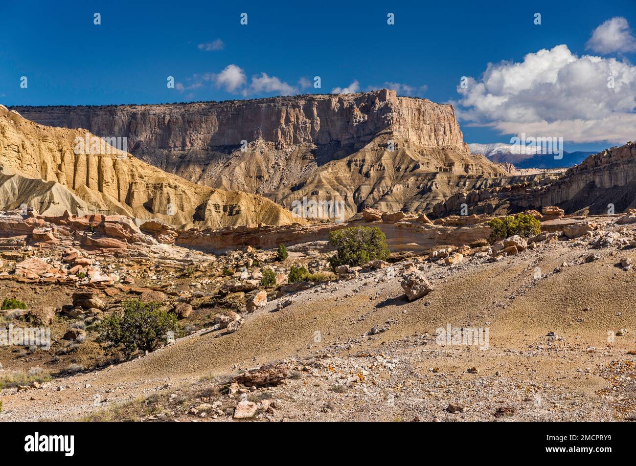 Oyster Shell Reef, Swap Mesa, Henry Mountains in far distance, view from Notom Bullfrog Road, Capitol Reef National Park, Utah, USA Stock Photo