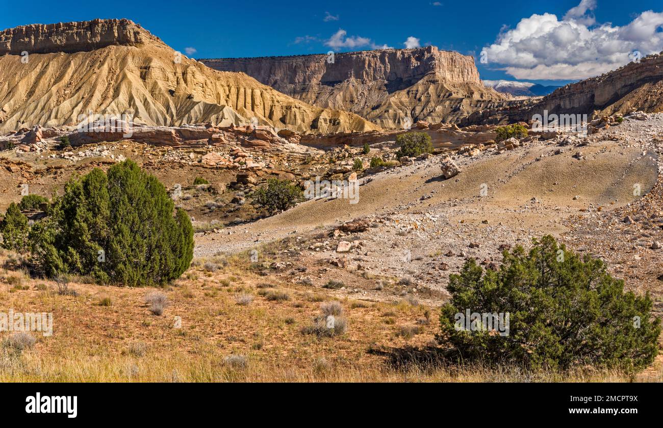 Oyster Shell Reef, Swap Mesa, Henry Mountains in far distance, view from Notom Bullfrog Road, Capitol Reef National Park, Utah, USA Stock Photo