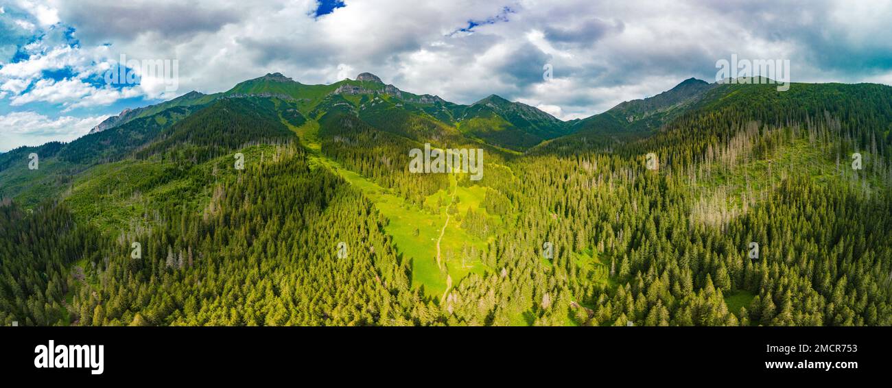 Aerial drone panoramic view of the educational trail Zadne Medodoly, High Tatras, Slovakia. Stock Photo