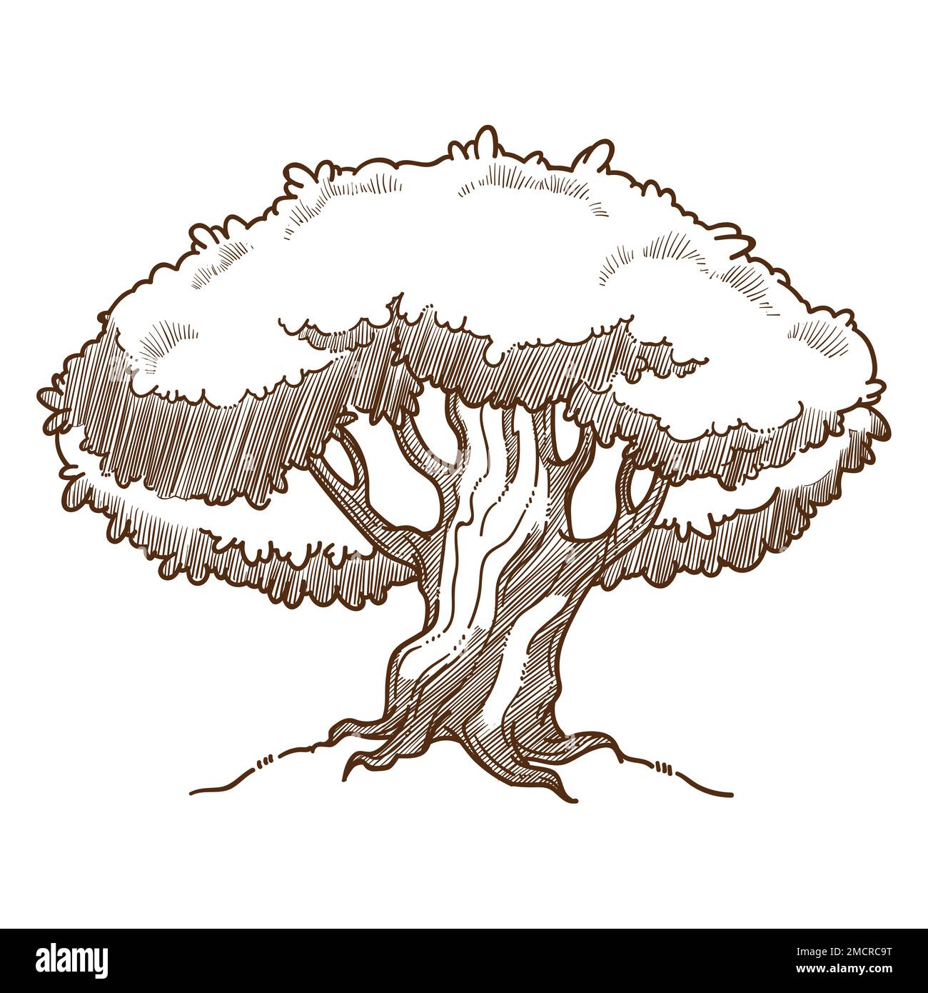 Planting oak Stock Vector Images - Alamy