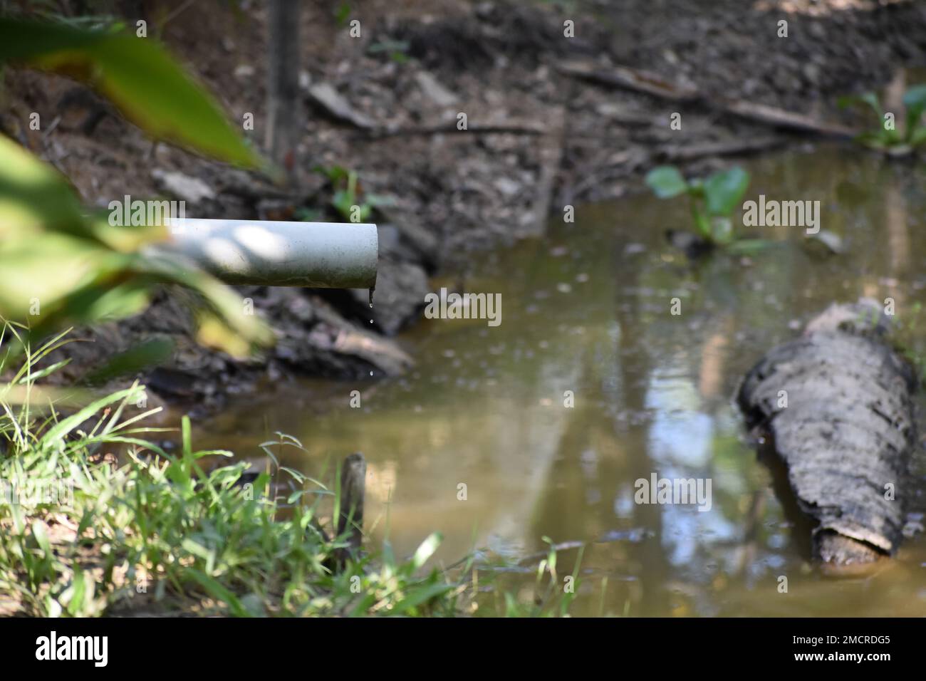 A village drainage system draining into a pond Stock Photo Alamy