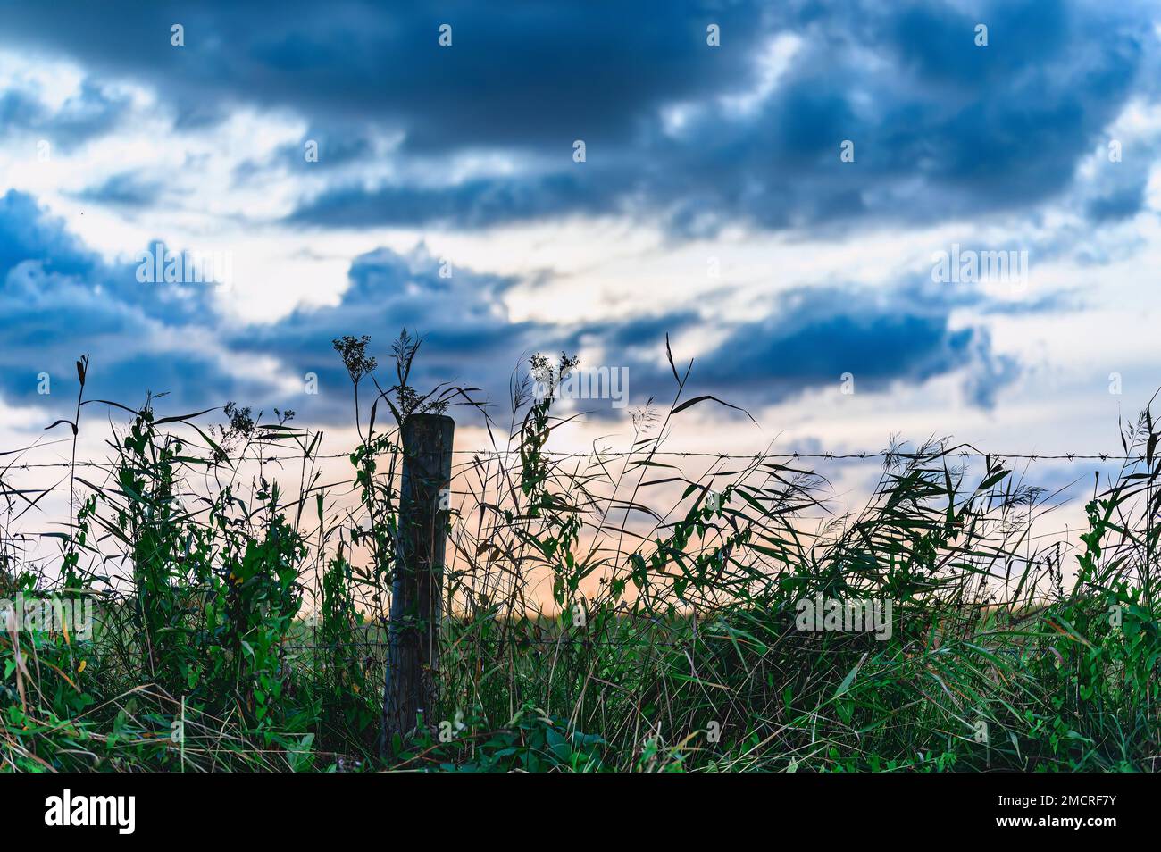 Sunrise behind a metal barbed wire fence over natural meadows with ...
