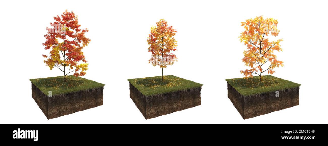 Autumn tree and soil cut under it. Isolated garden element, 3D illustration, cg render Stock Photo