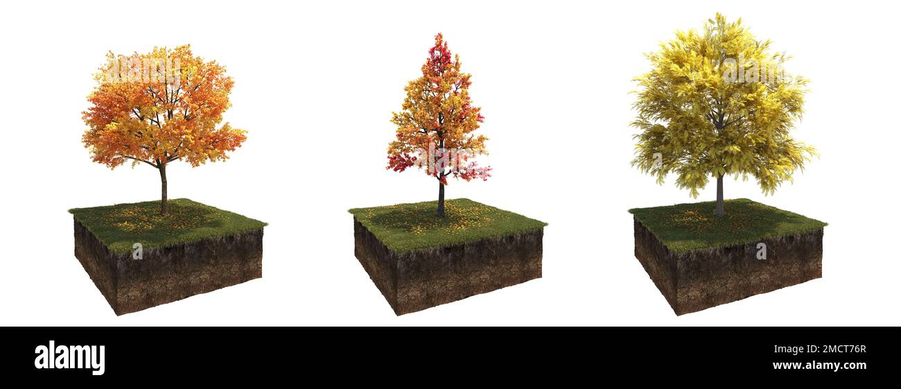 Autumn tree and soil cut under it. Isolated garden element, 3D illustration, cg render Stock Photo