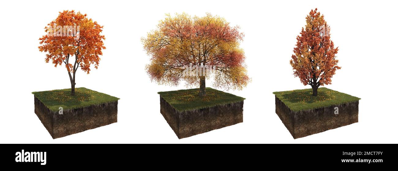 Autumn tree and soil cut under it. Isolated garden element, 3D illustration, cg render Stock Photo