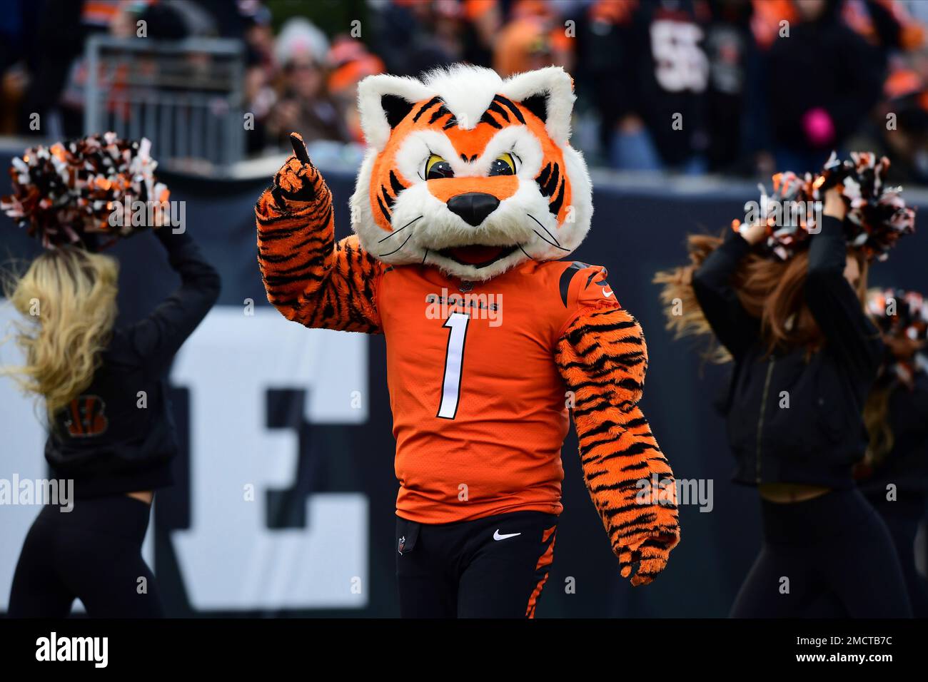 Cincinnati mascot Who Dey performs during an NFL football game against