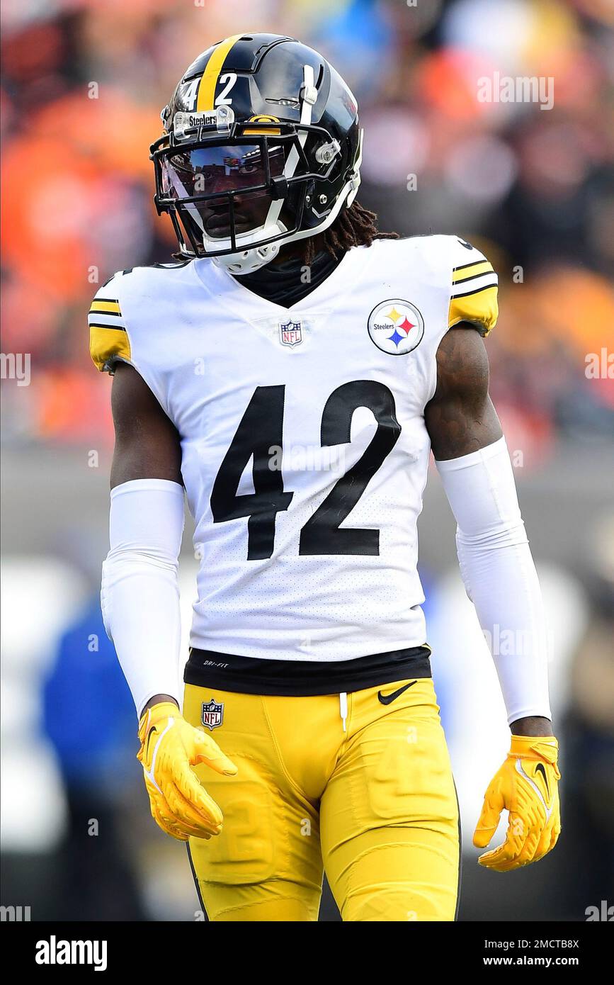 Pittsburgh Steelers cornerback James Pierre (42) looks on during an NFL