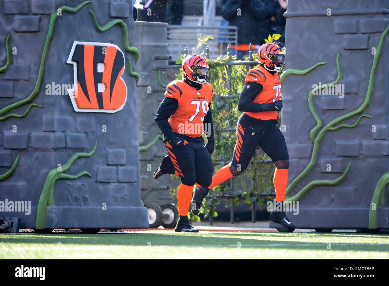 Cincinnati Bengals guard Jackson Carman (79) and offensive tackle Isaiah  Prince (75) run onto the field during introductions before an NFL football  game against the Pittsburgh Steelers, Sunday, Nov. 28, 2021, in