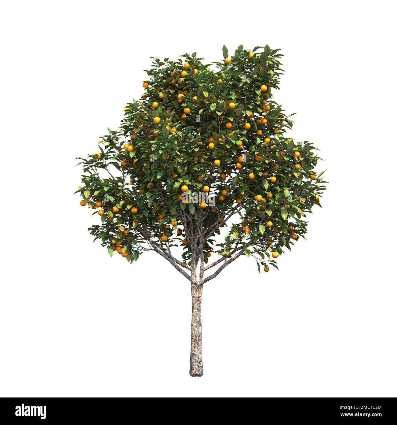big tree, isolated on white background, 3D illustration, cg render ...