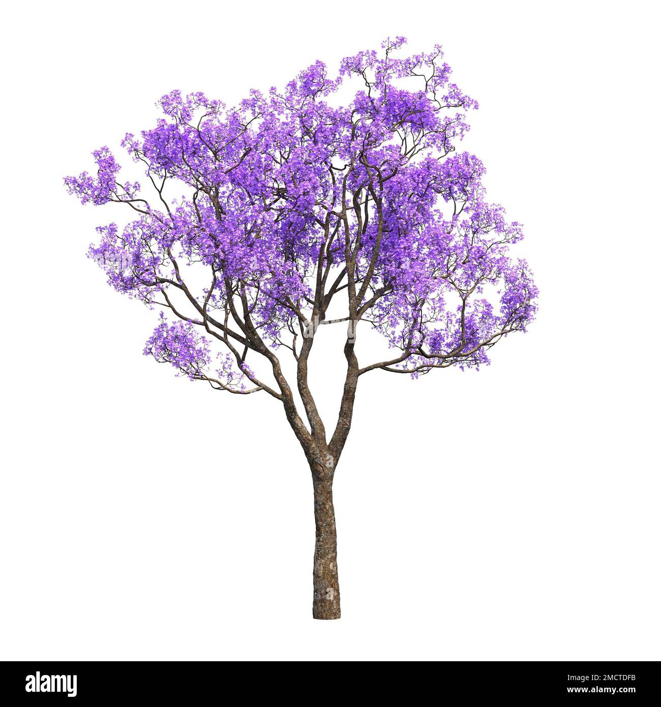 big tree, isolated on white background, 3D illustration, cg render ...