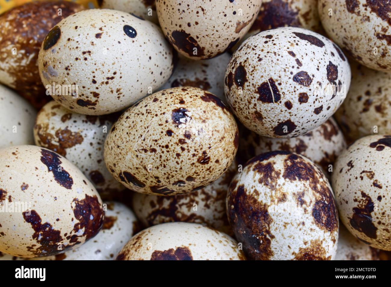 Background image of raw quail eggs. High protein rich food Stock Photo